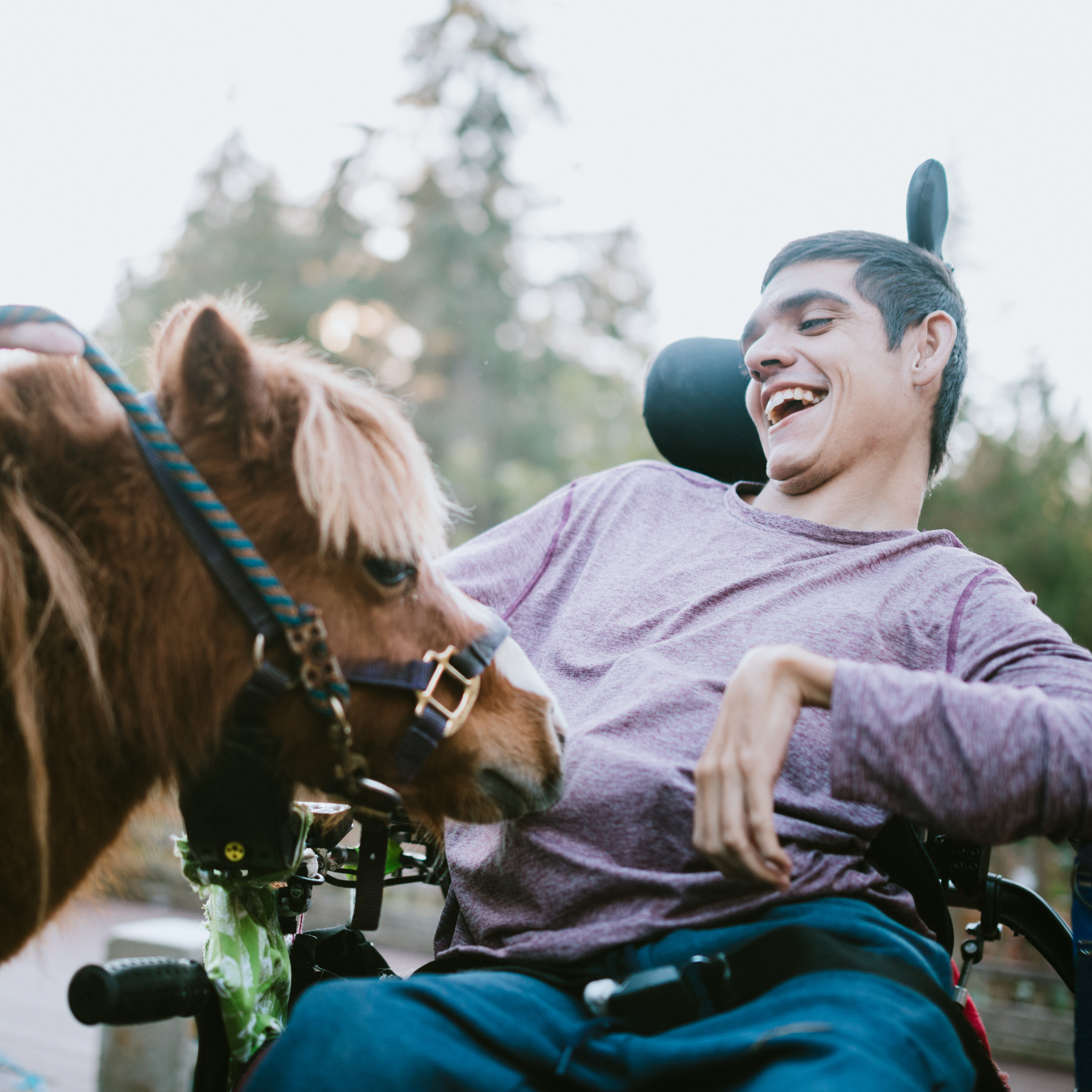 Disabilities in Equestrianism