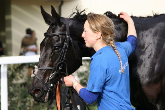 A girl in a blue shirt gently strokes a black horse's neck.