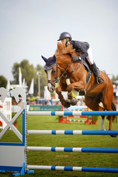 Horse and rider clearing a jump in an equestrian competition.