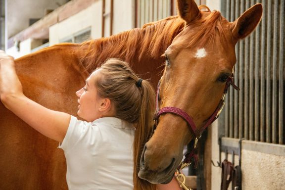 A person affectionately grooming a brown horse in a stable.
