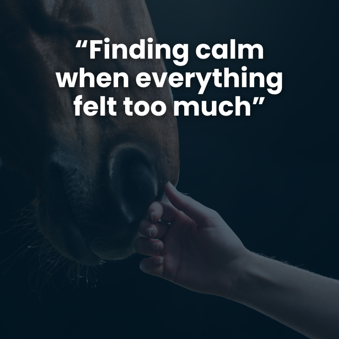 A hand gently reaching towards a horse's nose, with a calming quote above.