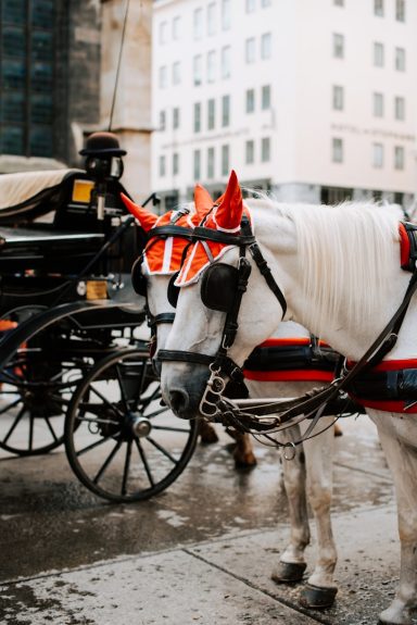 A white horse with decorative horns stands beside a horse-drawn carriage on a city street.
